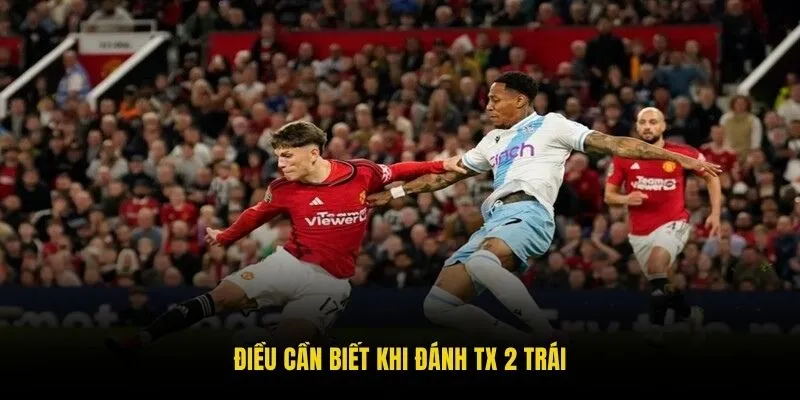 Điều cần biết khi đánh TX 2 trái