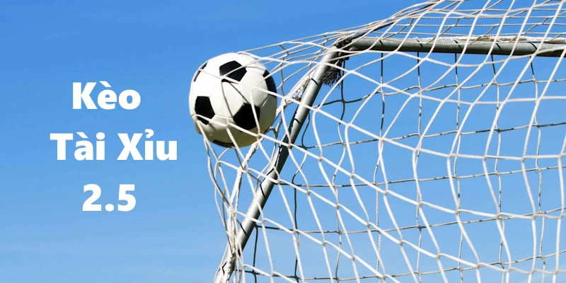 Tỷ lệ 2.5 xuất hiện thường xuyên trên bảng cược O/U